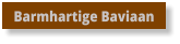 Barmhartige Baviaan